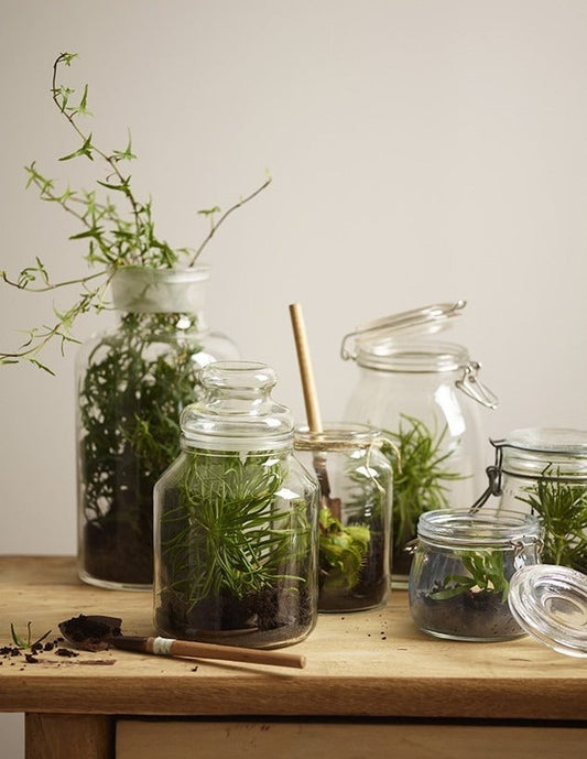 YÜKSELEN TREND: ŞEHİR BAHÇIVANLIĞI