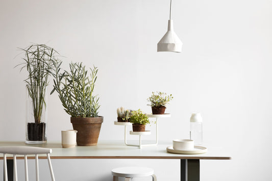 BAHAR CANLILIĞINI EVİNİZE TAŞIYIN!