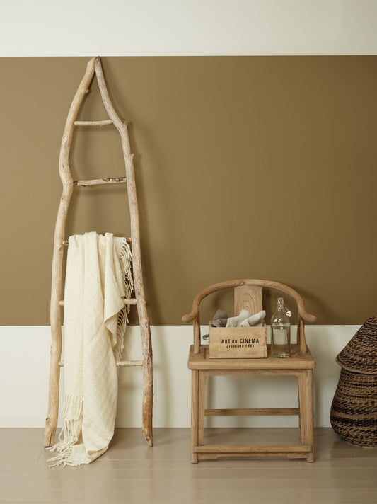 Tek Renkle Sınırlı Kalmayın!