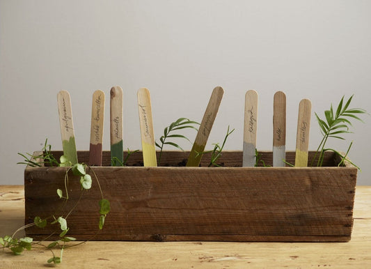 YENİLENMENİN RENGİ YEŞİL!