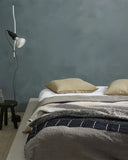 Fenomastic Güzel Evim Mineral Şeffaf Koruyucu