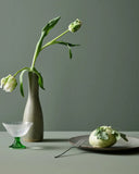 Jotun Ic Cephe Renk Kodu 7686 Mindful Green