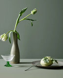 Jotun Ic Cephe Renk Kodu 7685 SUBTLE GREEN